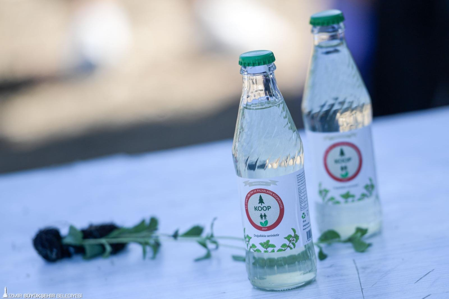 Büyükşehir’in fide desteği sıfır şekerli gazoza dönüştü